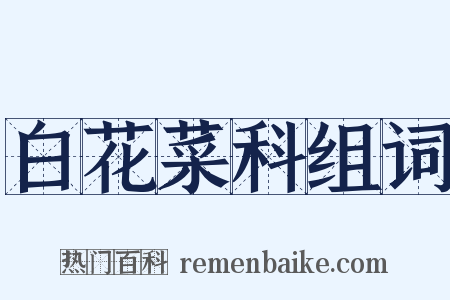 白花菜科组词是什么意思的图片